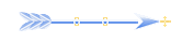 Seta